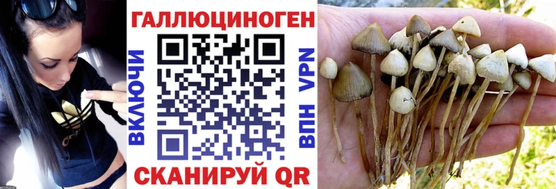 Псилоцибиновые грибы мухоморы  ссылка на мегу зеркало  Унеча  закладки 